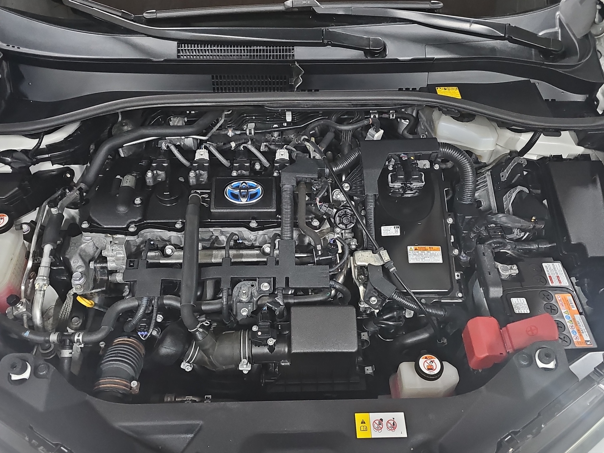 
								Toyota C-HR HYBRID/T0P full									
